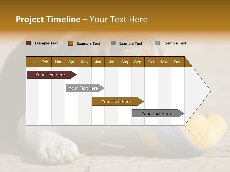 Little Young Purebred PowerPoint Template