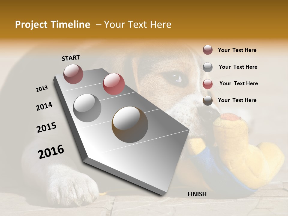 Little Young Purebred PowerPoint Template