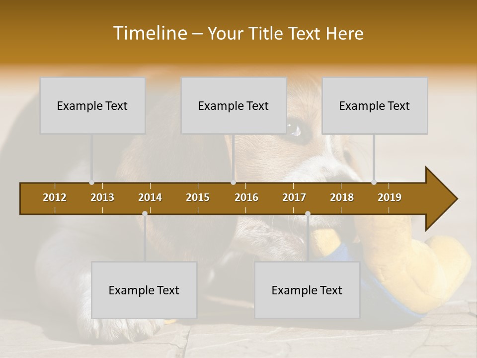 Little Young Purebred PowerPoint Template