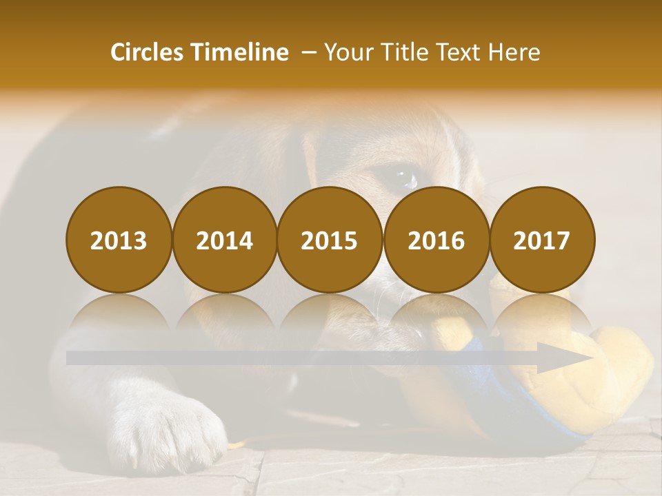 Little Young Purebred PowerPoint Template