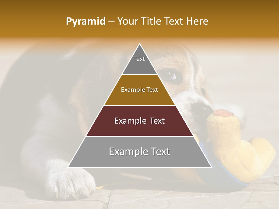 Little Young Purebred PowerPoint Template