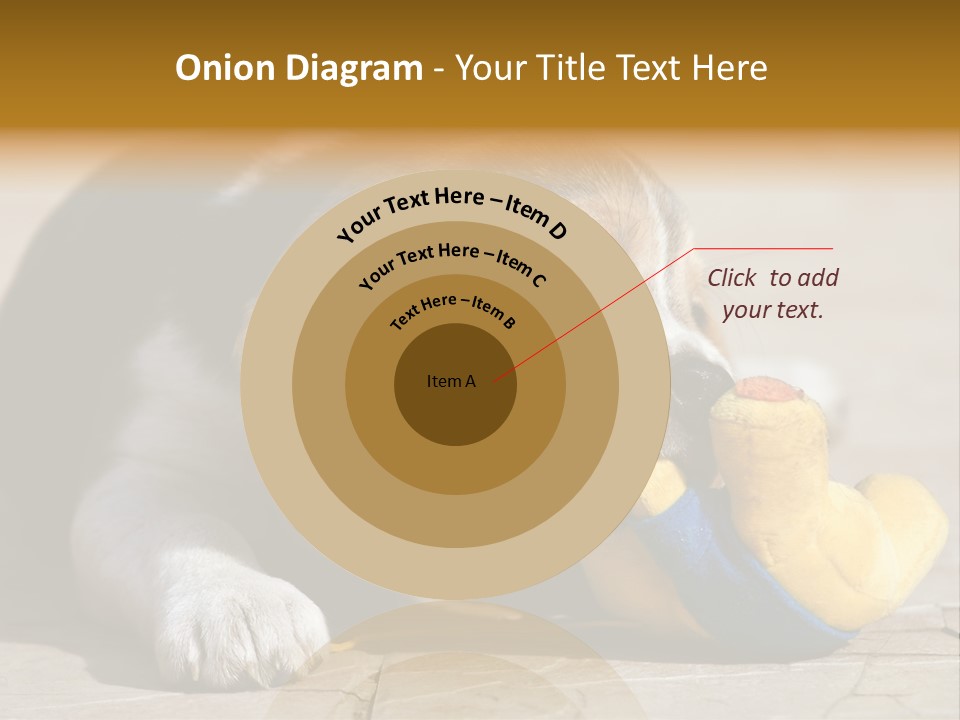 Little Young Purebred PowerPoint Template