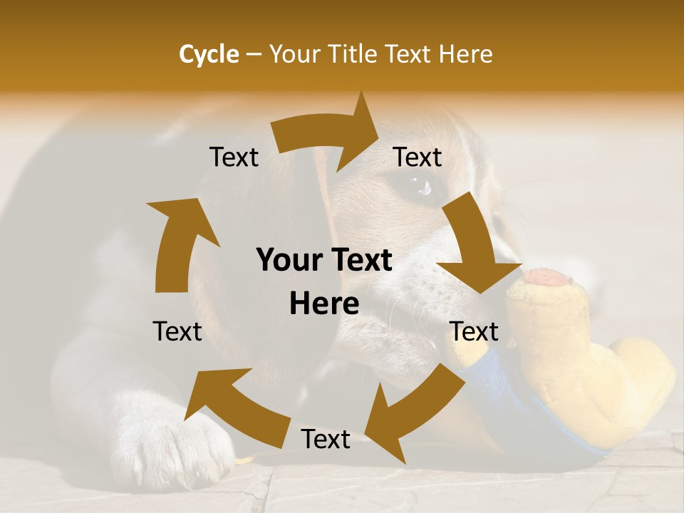 Little Young Purebred PowerPoint Template