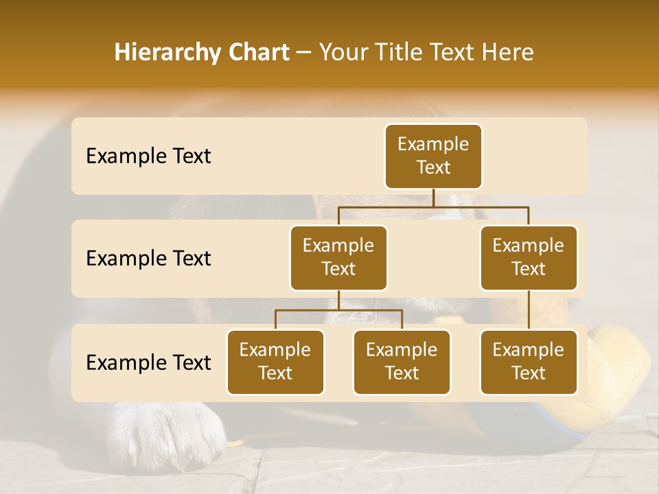 Little Young Purebred PowerPoint Template