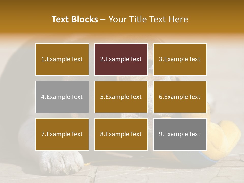 Little Young Purebred PowerPoint Template