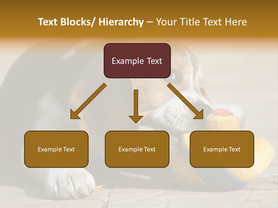 Little Young Purebred PowerPoint Template