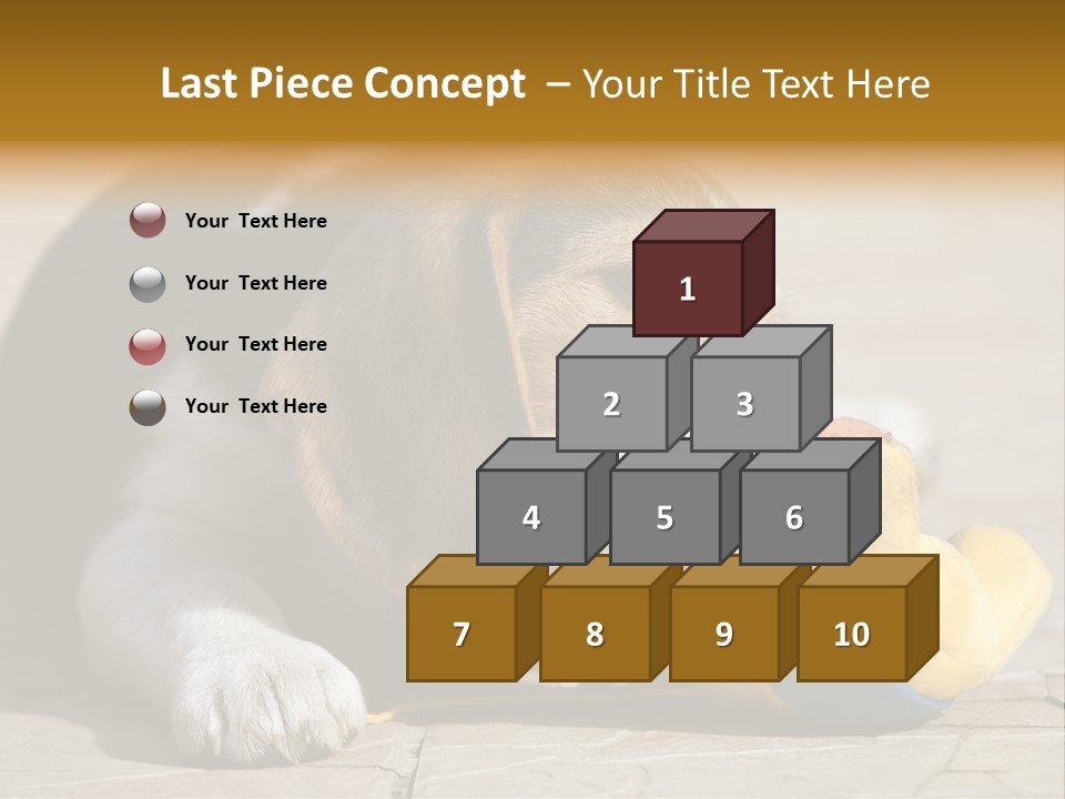Little Young Purebred PowerPoint Template