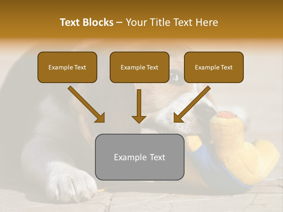 Little Young Purebred PowerPoint Template