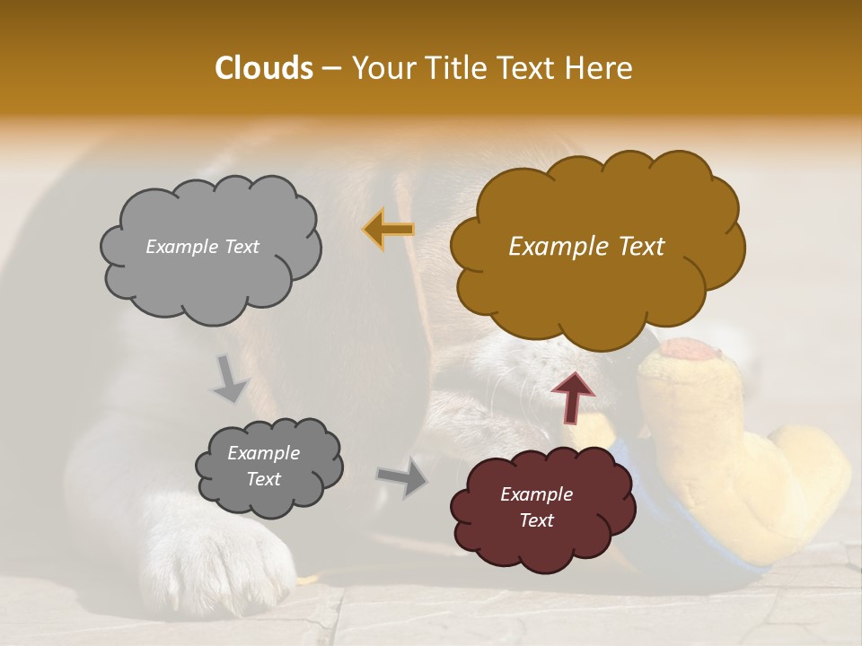 Little Young Purebred PowerPoint Template