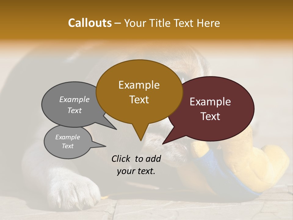 Little Young Purebred PowerPoint Template