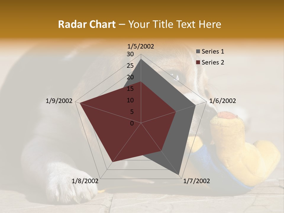 Little Young Purebred PowerPoint Template