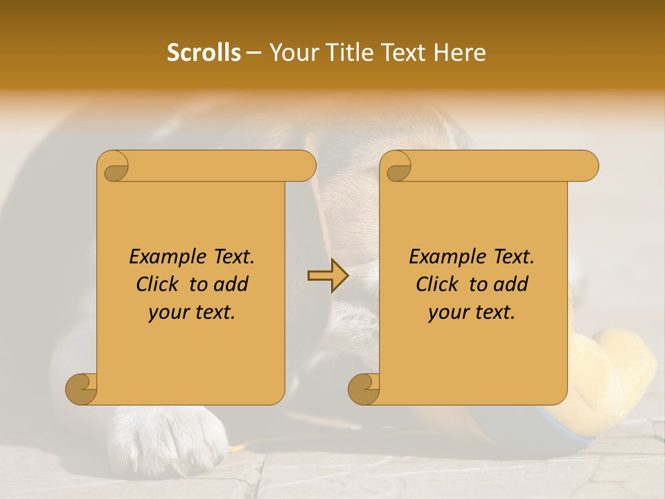 Little Young Purebred PowerPoint Template