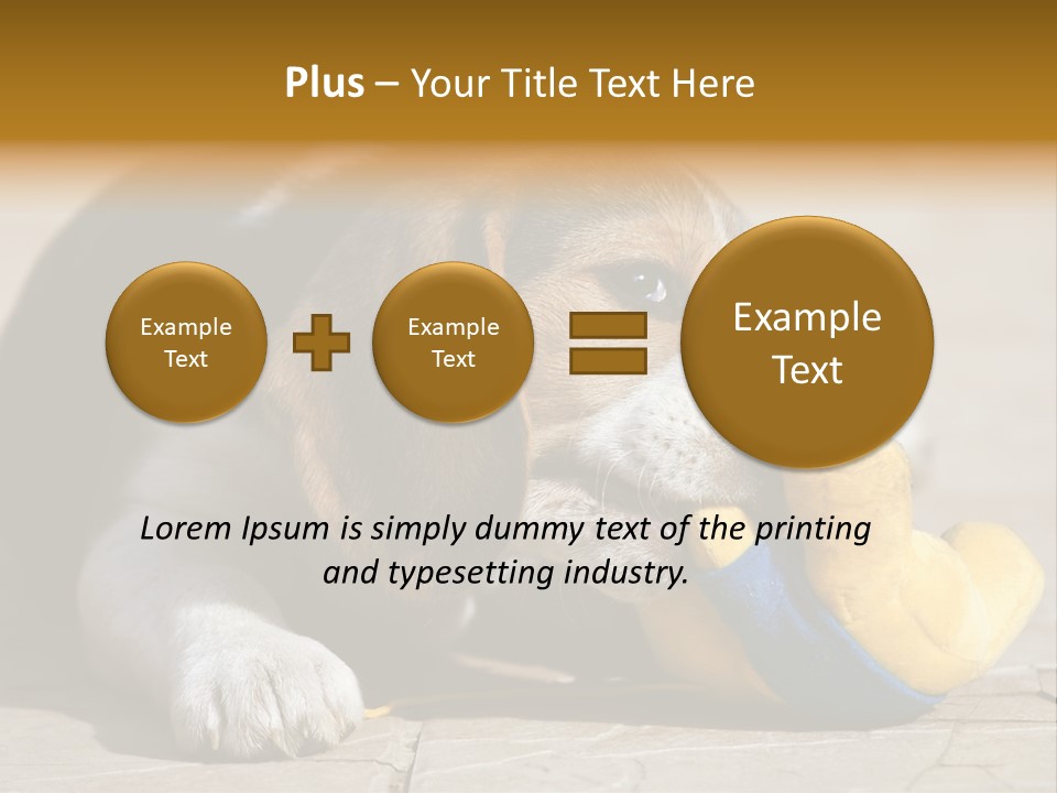Little Young Purebred PowerPoint Template