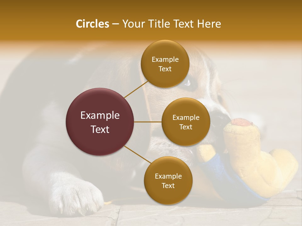 Little Young Purebred PowerPoint Template