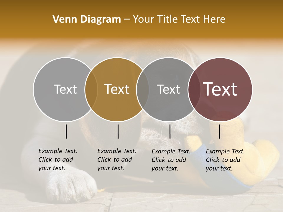 Little Young Purebred PowerPoint Template