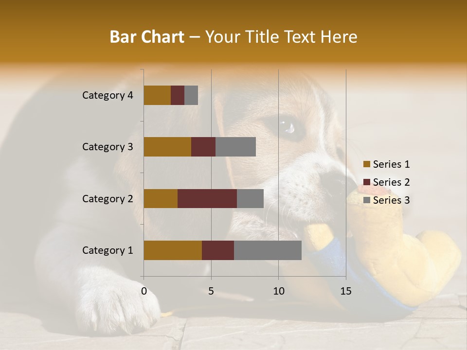Little Young Purebred PowerPoint Template