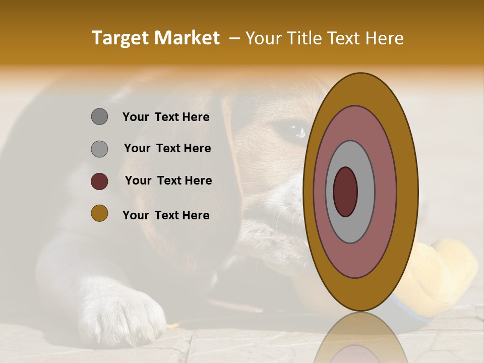 Little Young Purebred PowerPoint Template