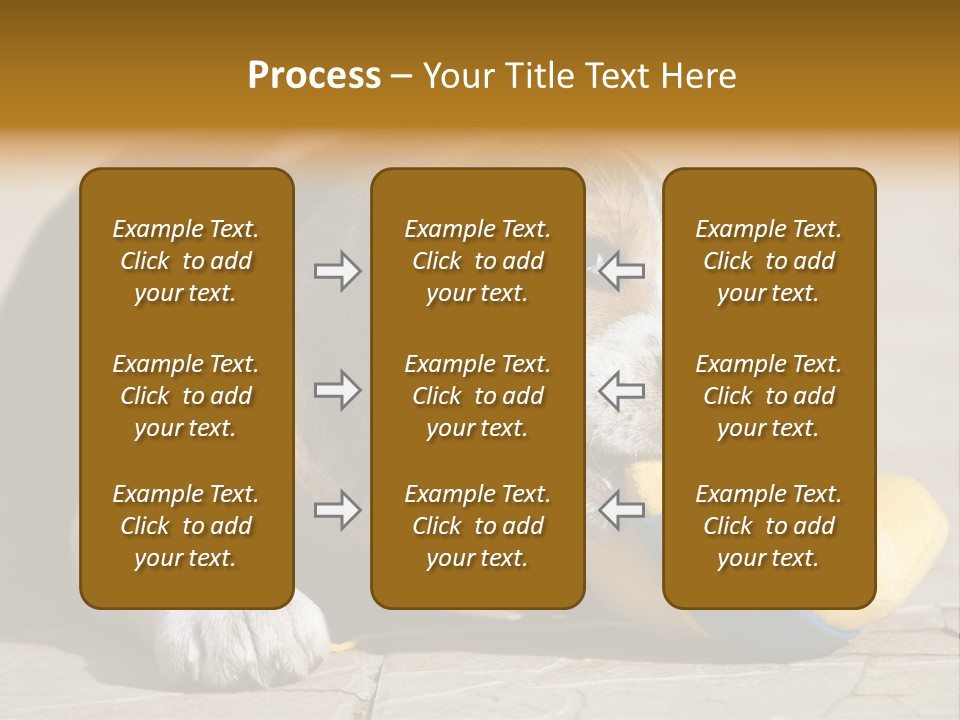 Little Young Purebred PowerPoint Template