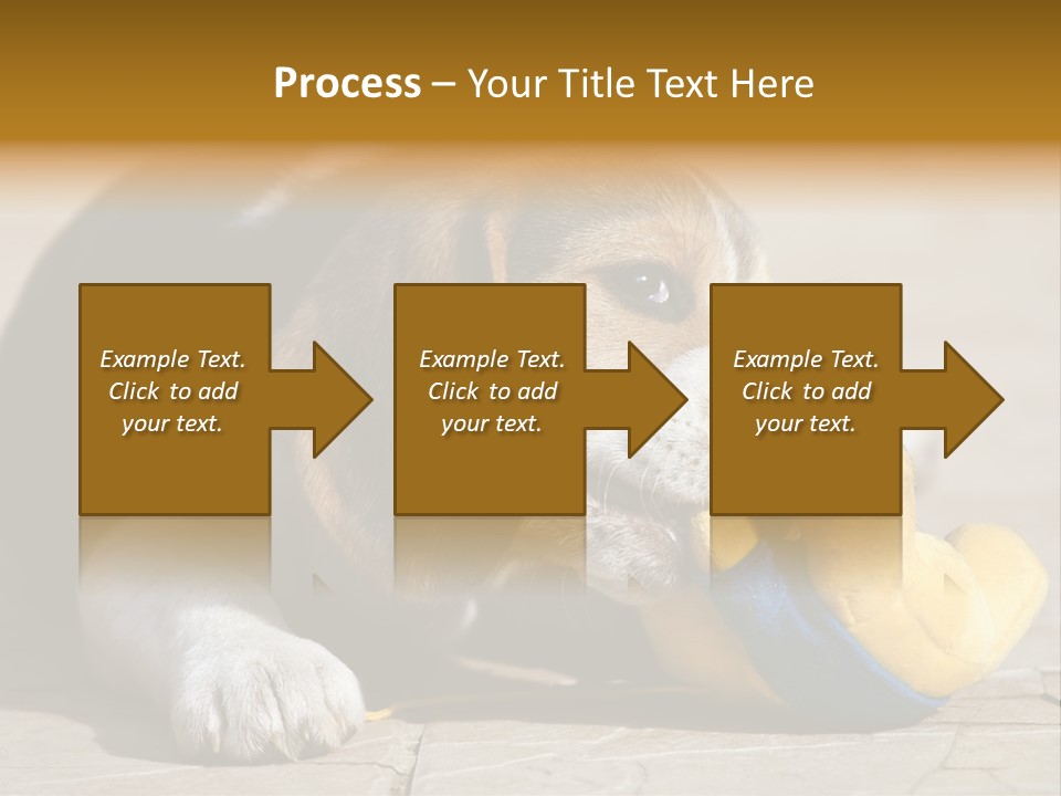 Little Young Purebred PowerPoint Template