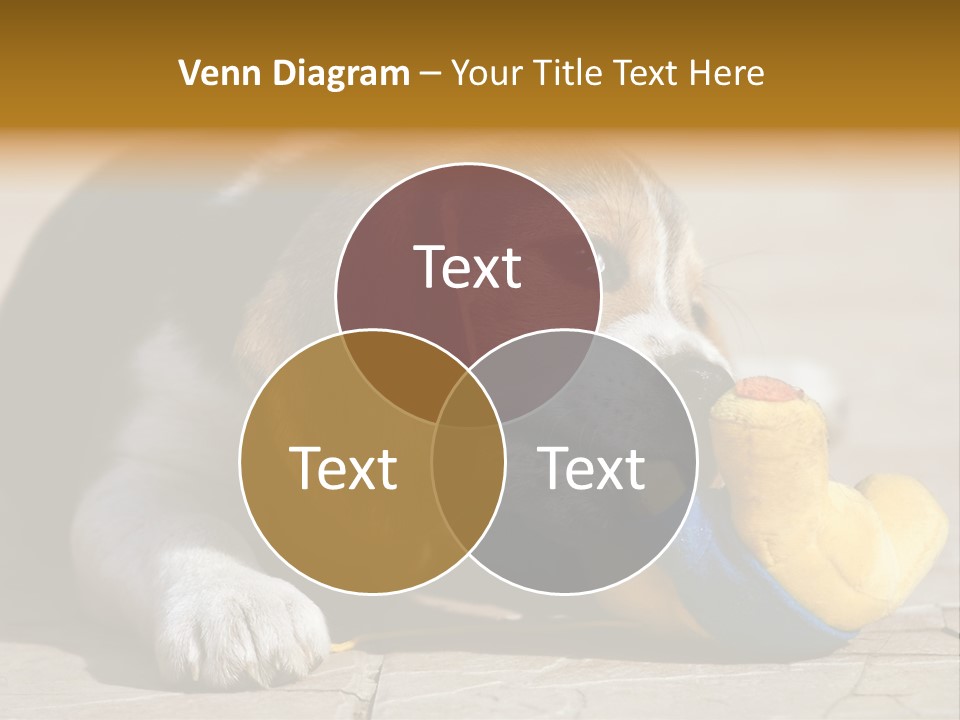 Little Young Purebred PowerPoint Template