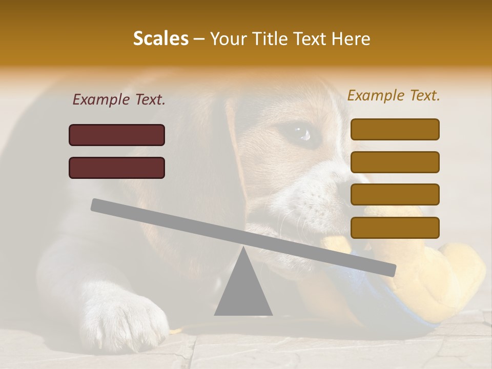 Little Young Purebred PowerPoint Template