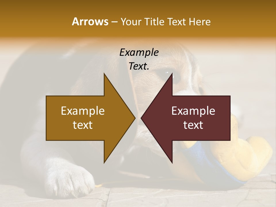 Little Young Purebred PowerPoint Template