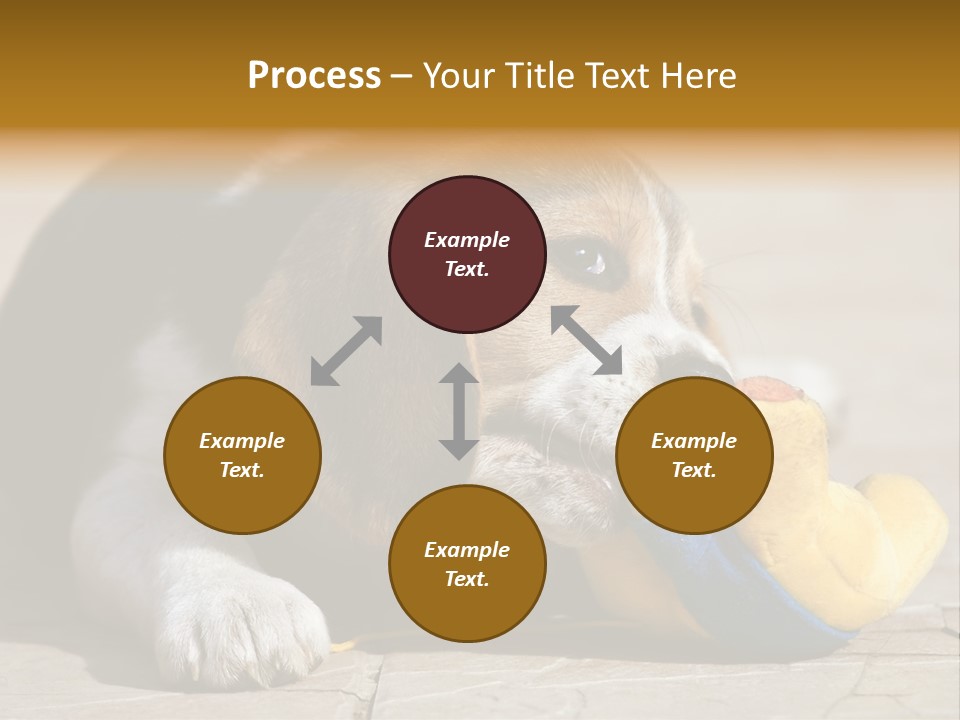 Little Young Purebred PowerPoint Template