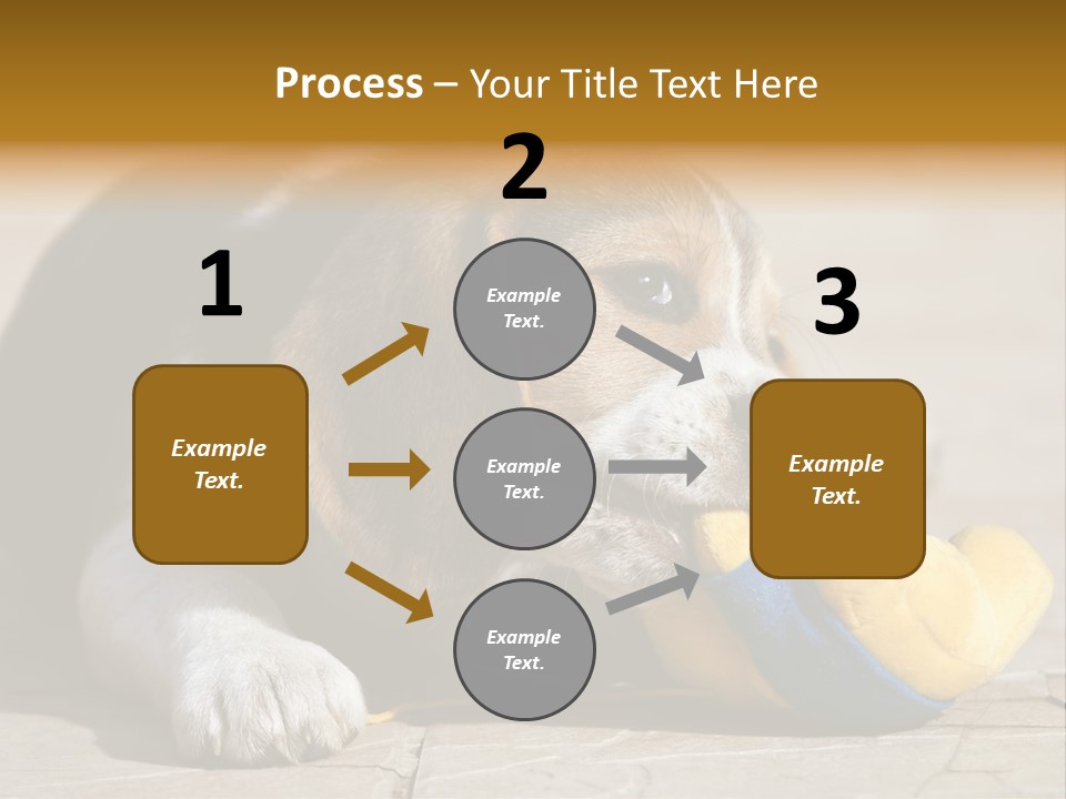 Little Young Purebred PowerPoint Template