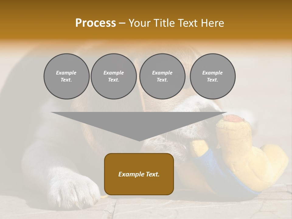 Little Young Purebred PowerPoint Template