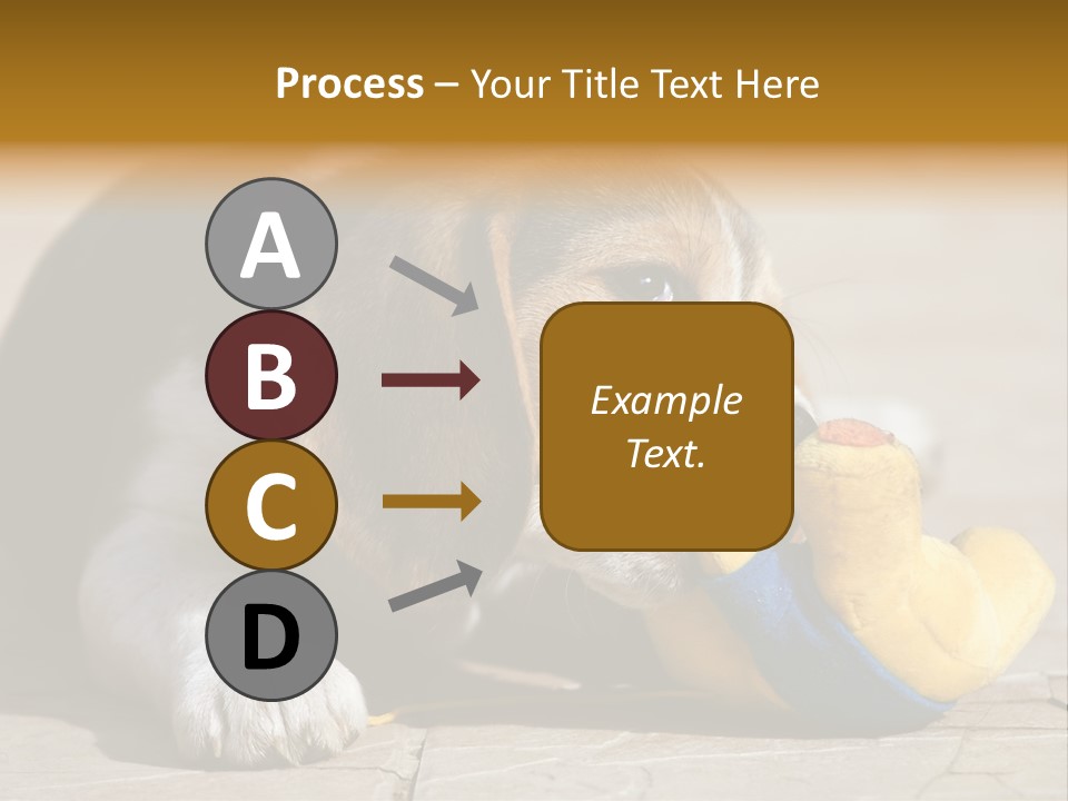 Little Young Purebred PowerPoint Template