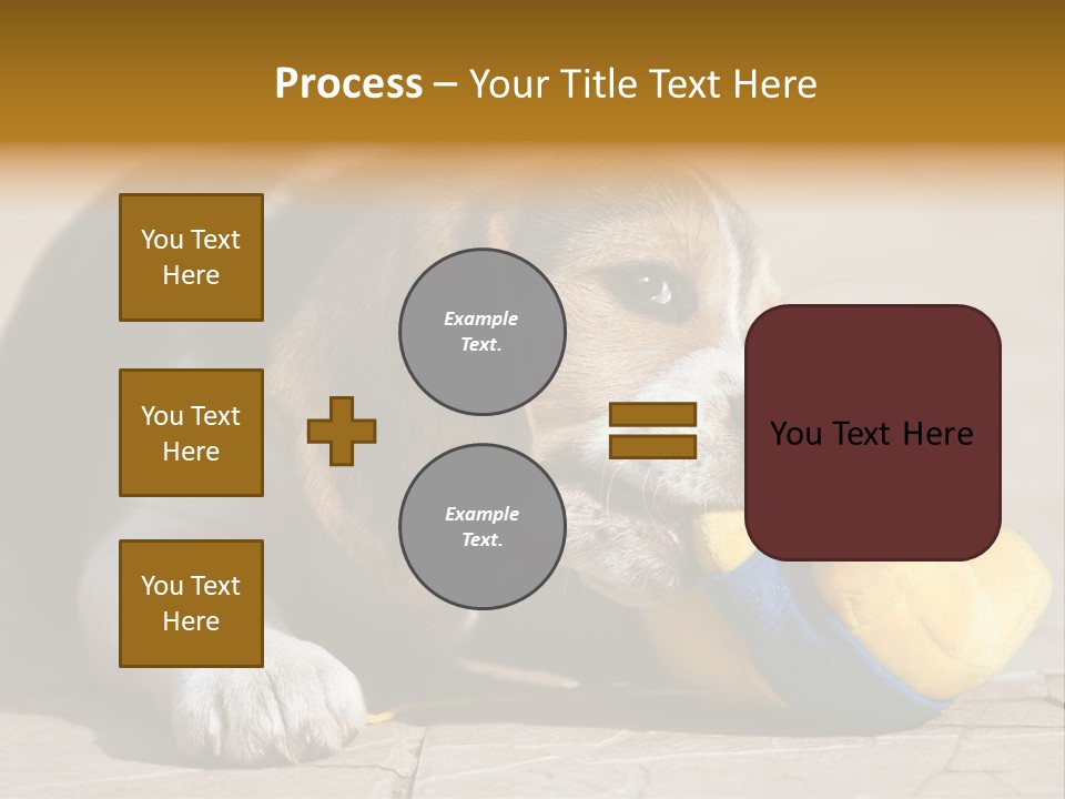 Little Young Purebred PowerPoint Template