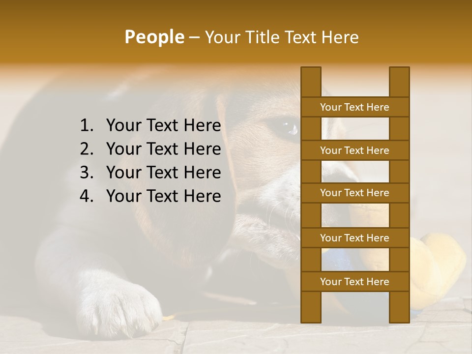 Little Young Purebred PowerPoint Template