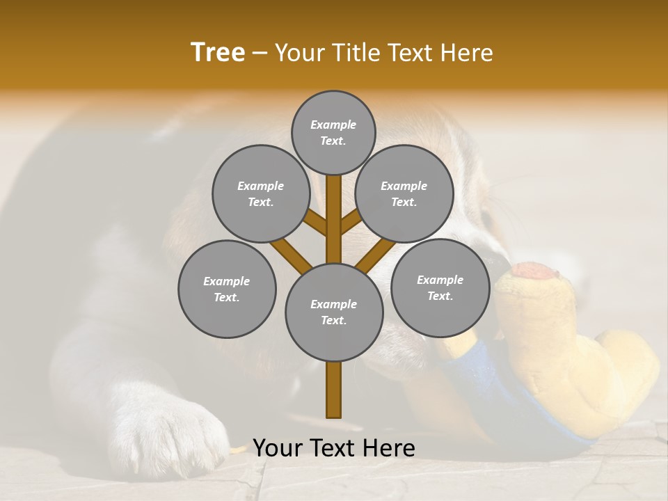 Little Young Purebred PowerPoint Template