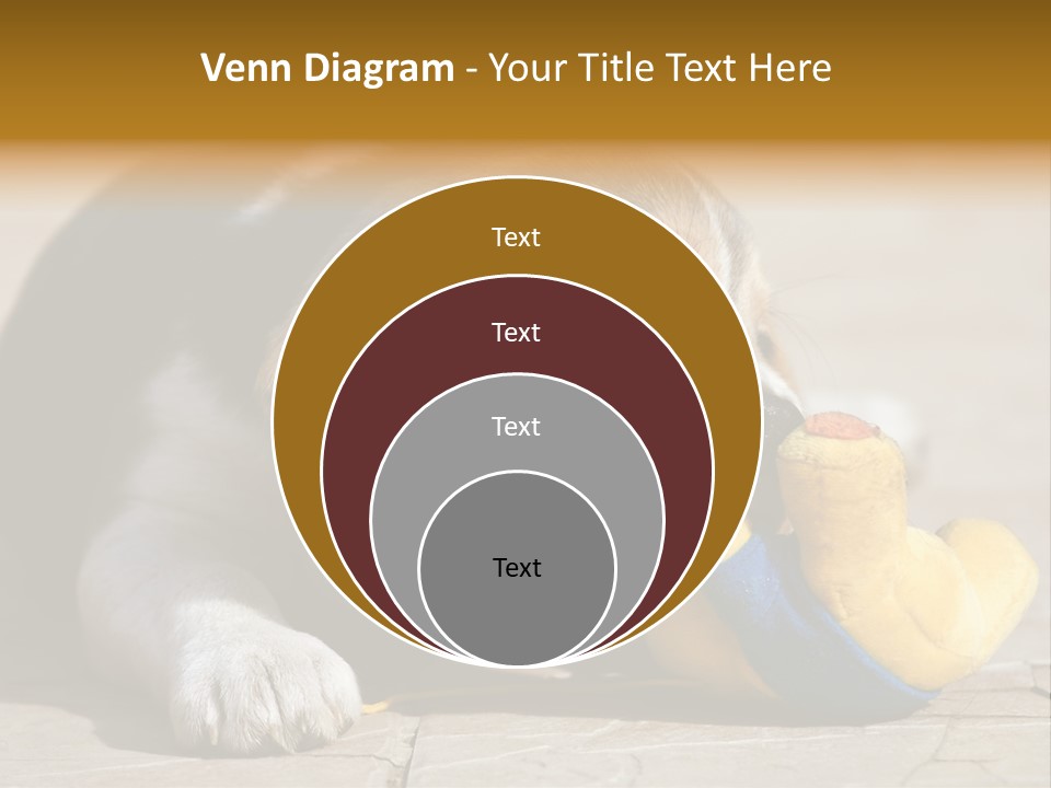 Little Young Purebred PowerPoint Template