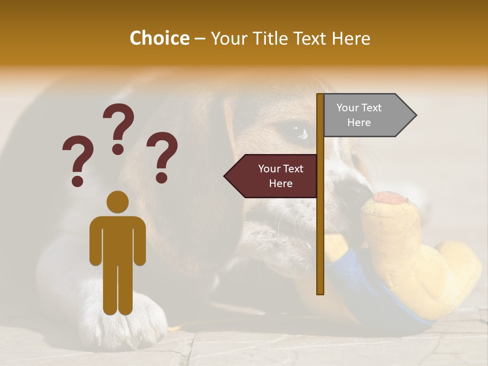 Little Young Purebred PowerPoint Template