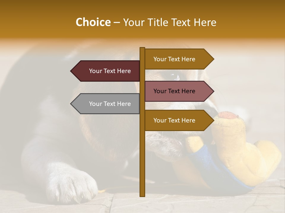 Little Young Purebred PowerPoint Template