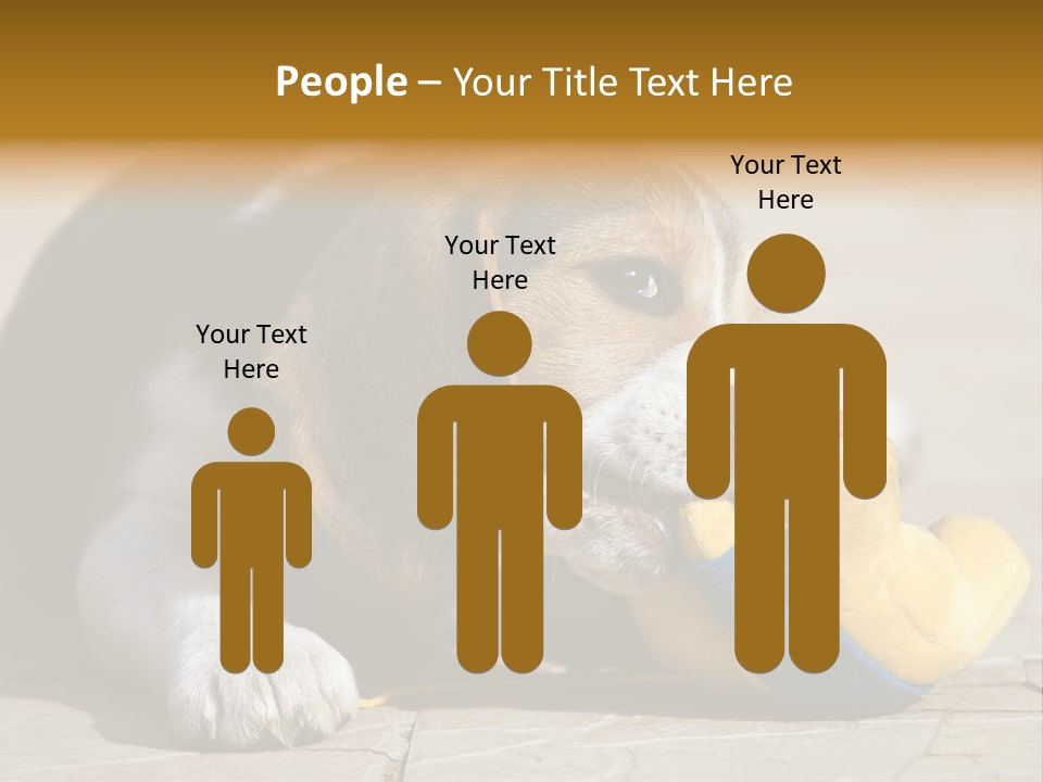 Little Young Purebred PowerPoint Template