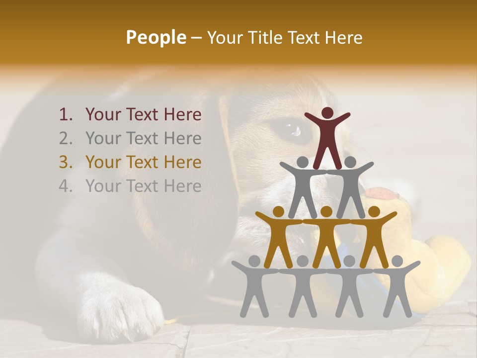 Little Young Purebred PowerPoint Template