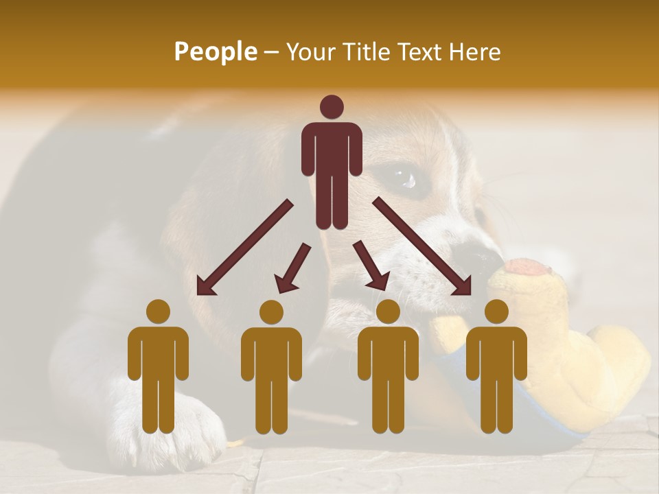 Little Young Purebred PowerPoint Template
