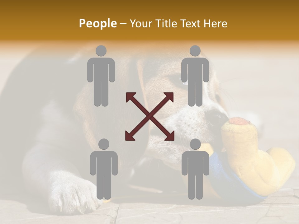 Little Young Purebred PowerPoint Template