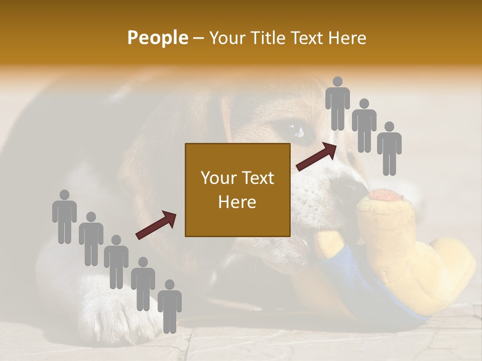 Little Young Purebred PowerPoint Template