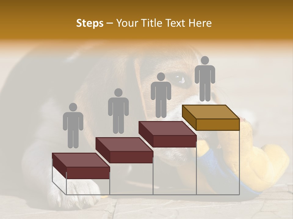 Little Young Purebred PowerPoint Template