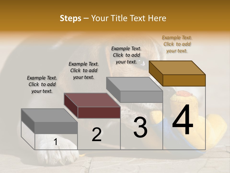 Little Young Purebred PowerPoint Template