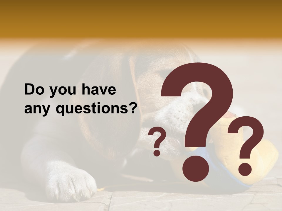 Little Young Purebred PowerPoint Template