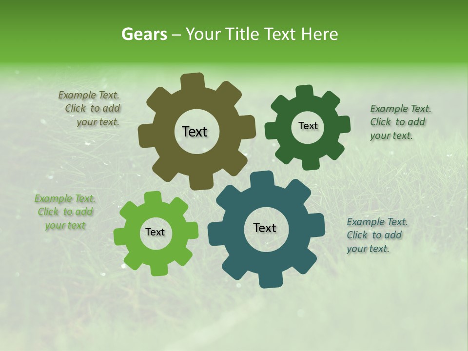 Backdrop Blank Australia PowerPoint Template