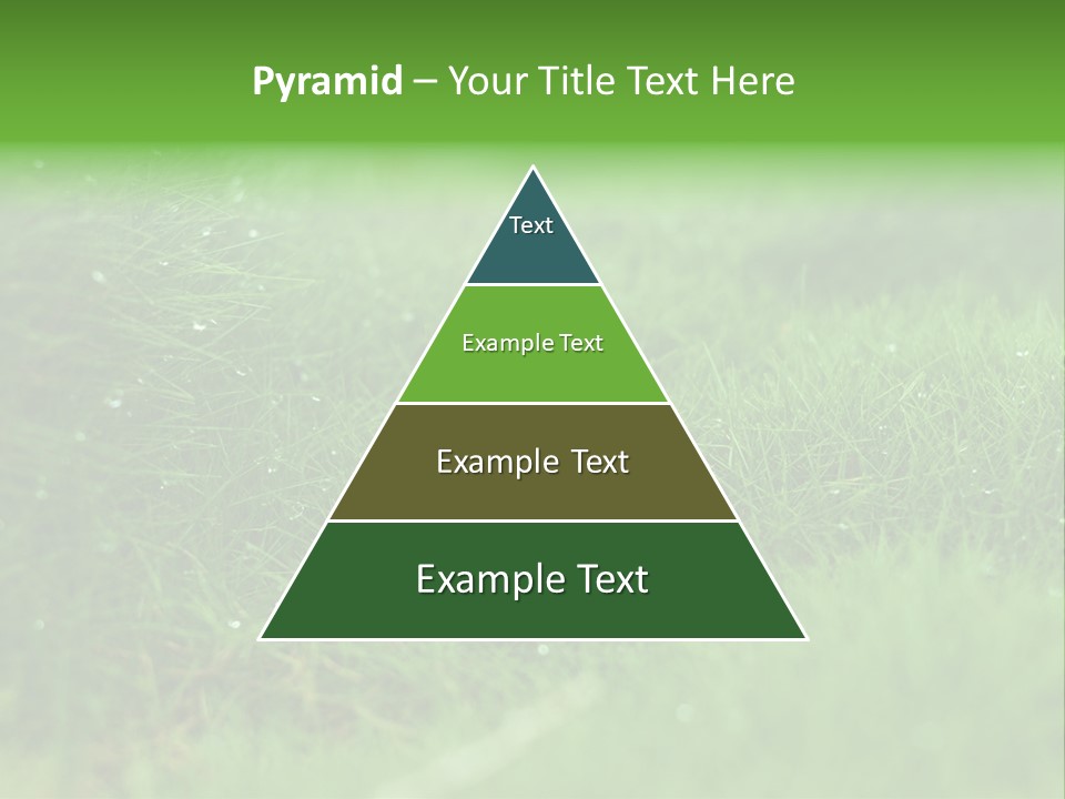 Backdrop Blank Australia PowerPoint Template