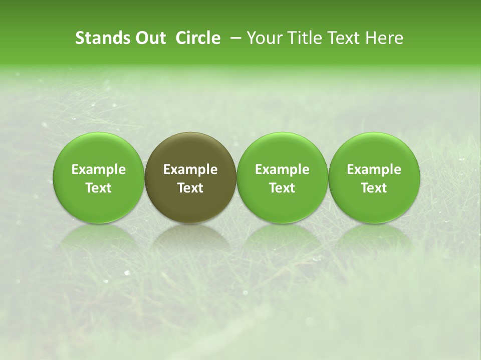 Backdrop Blank Australia PowerPoint Template