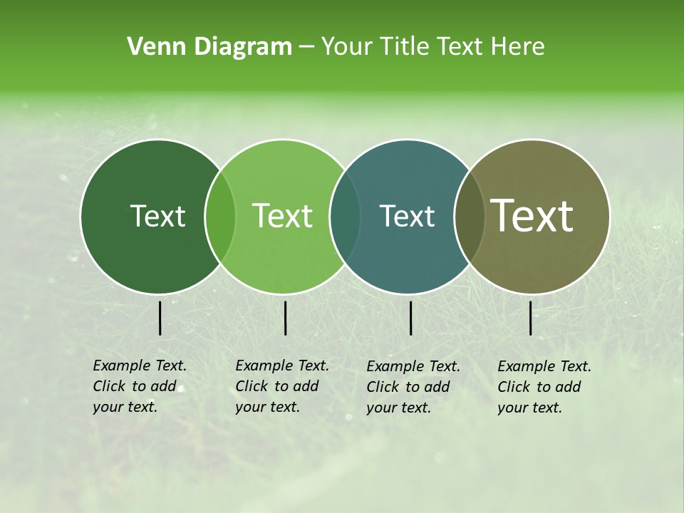 Backdrop Blank Australia PowerPoint Template