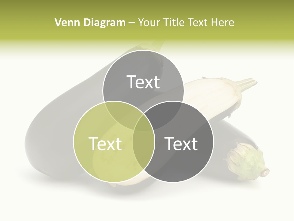 Color Black Begoon PowerPoint Template