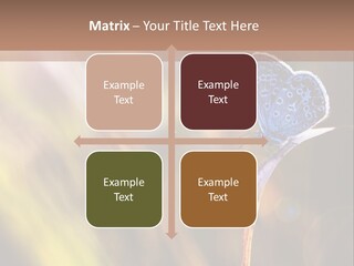 Western Caucasus Lifestyle Resort PowerPoint Template